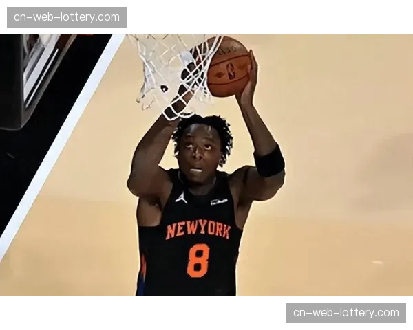 尼克斯阿奴诺比12分5篮板 3D侧翼角色完美适配体系 尼克斯阿奴诺比12分5篮板 3D侧翼角色完美适配体系